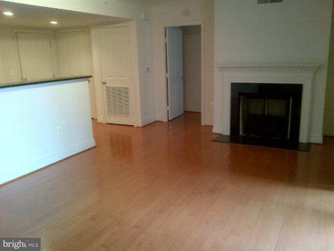 414 Water Street, Unit 1901 Baltimore, MD 21202 - Photo 3 of 17 Living Room with Hardwood & Fireplace