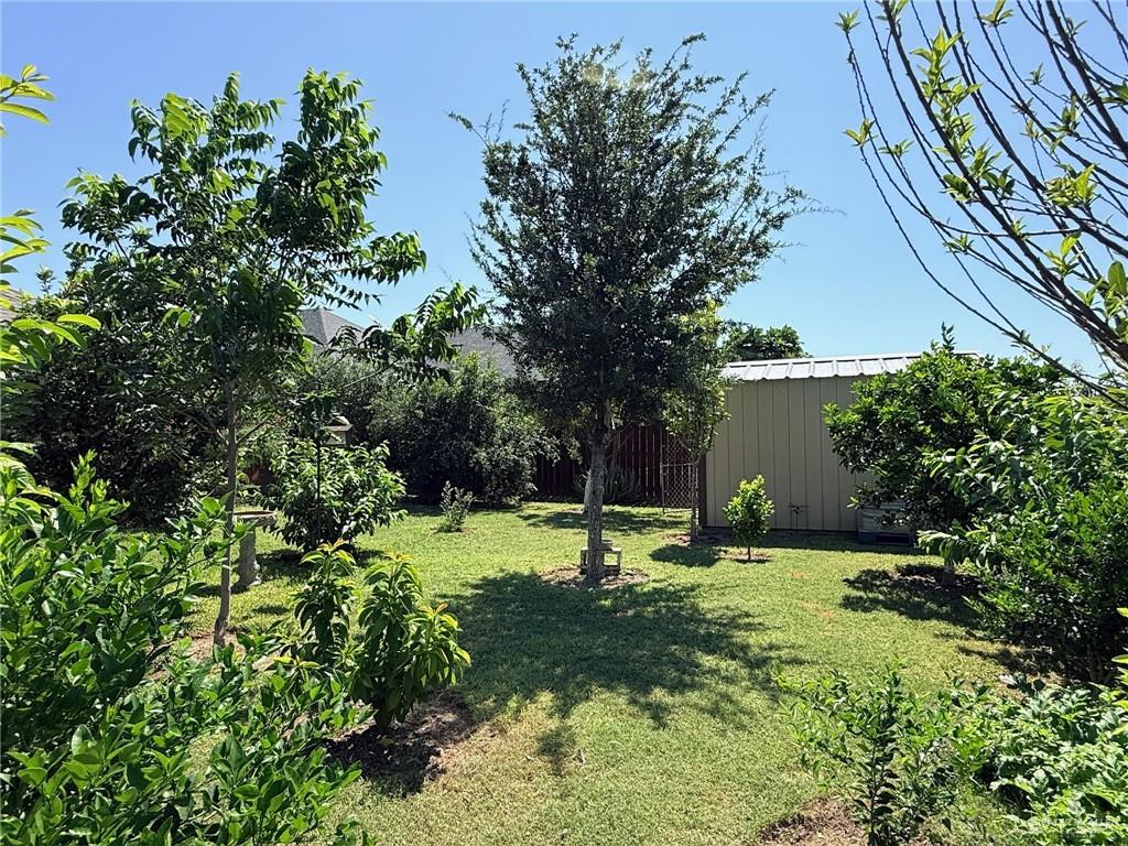 423 Blue Sky Street Rio Grande City, TX 78582 - Photo 19 of 19