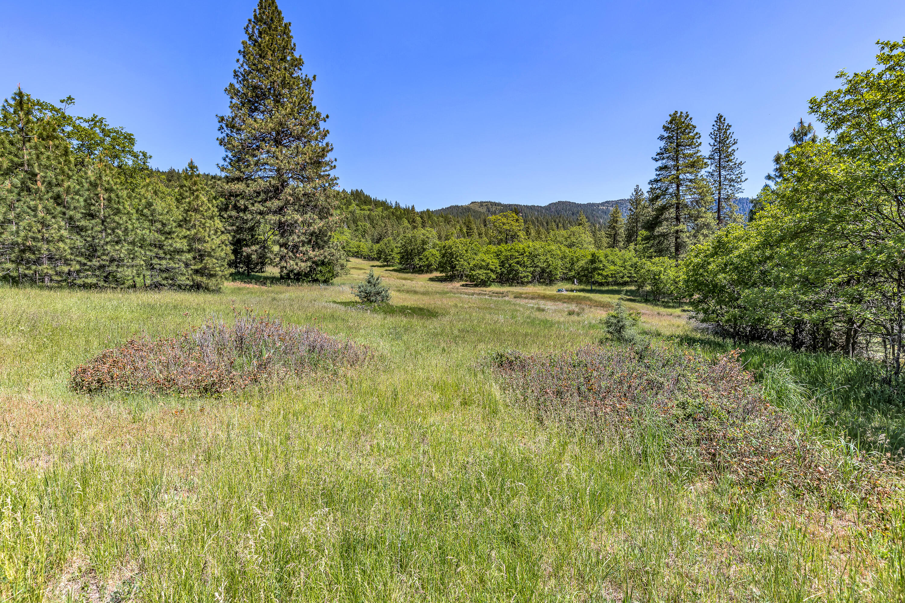 1720 Colestin Road Ashland, OR 97520 - Photo 29 of 52 9R9A3186