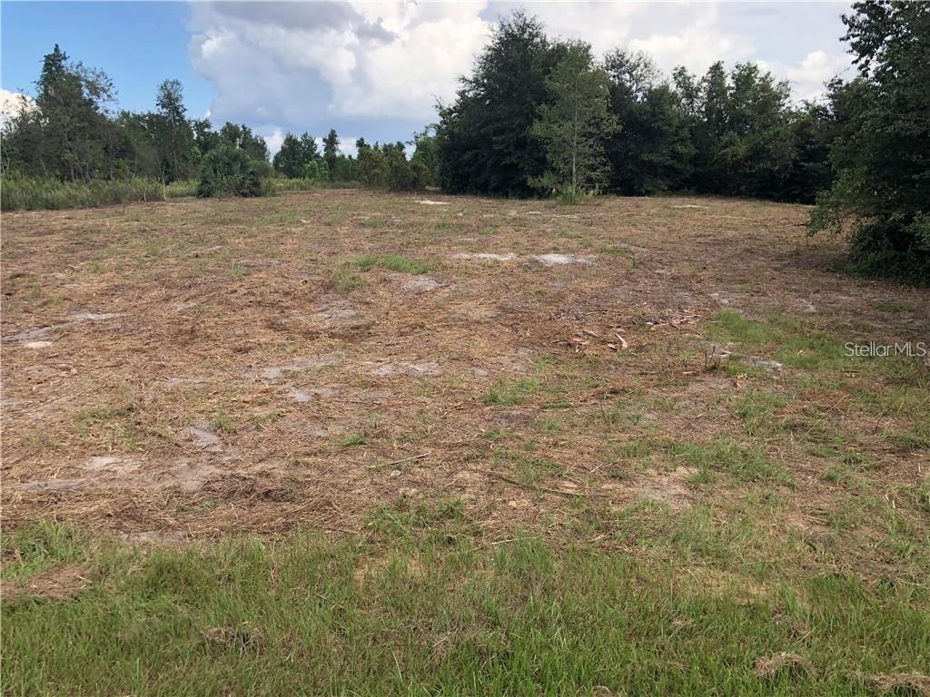 Sugarloaf Mountain Road Clermont, FL 34715 - Photo 11 of 22