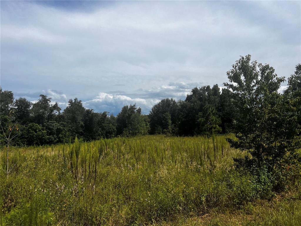 Sugarloaf Mountain Road Clermont, FL 34715 - Photo 2 of 22 a view of a lake