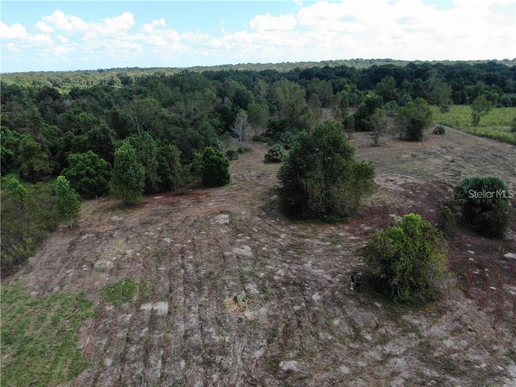 Sugarloaf Mountain Road Clermont, FL 34715 - Photo 21 of 22 a big yard with lots of green space