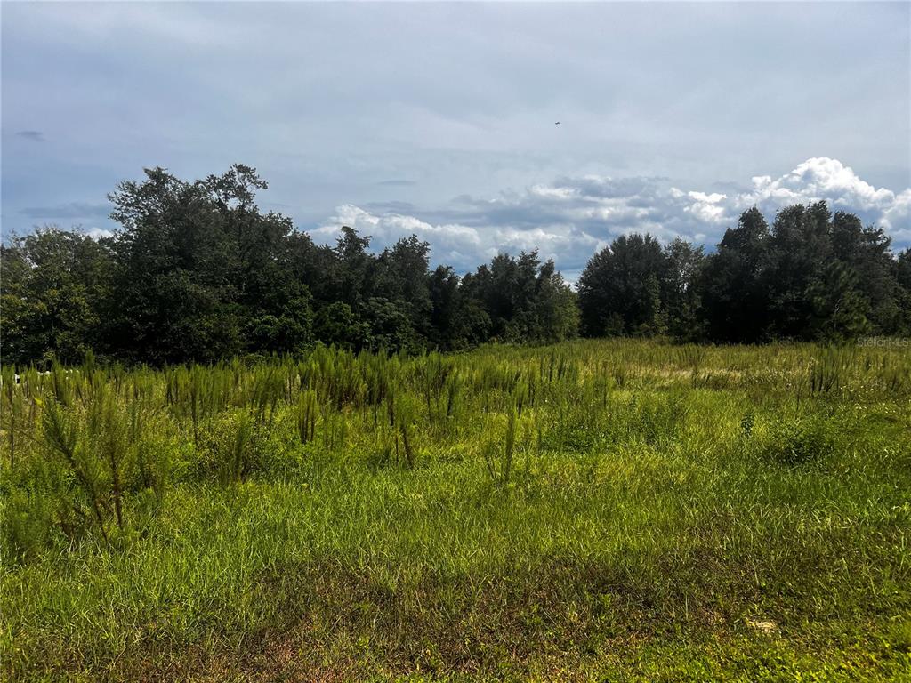 Sugarloaf Mountain Road Clermont, FL 34715 - Photo 6 of 22 a view of a lake view with houses in back
