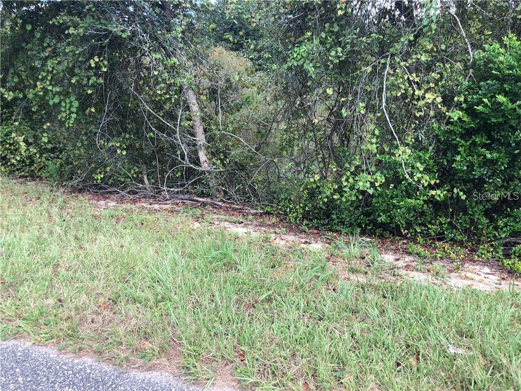 Sugarloaf Mountain Road Clermont, FL 34715 - Photo 7 of 22 a view of a yard with a tree
