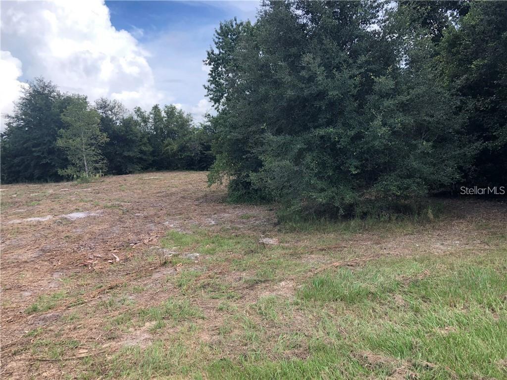 Sugarloaf Mountain Road Clermont, FL 34715 - Photo 10 of 22 a view of outdoor space and yard