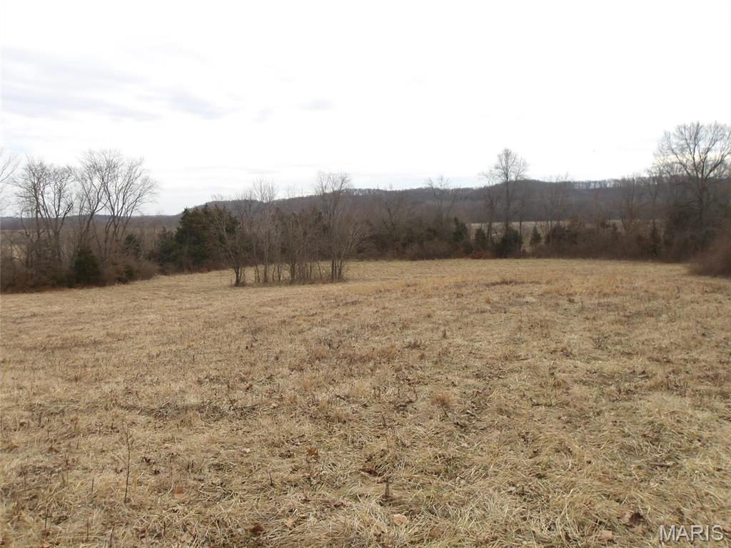 1139 Hwy J New Florence, MO 63363 - Photo 22 of 53