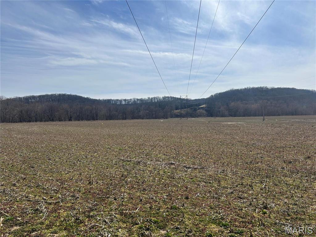 1139 Hwy J New Florence, MO 63363 - Photo 46 of 53