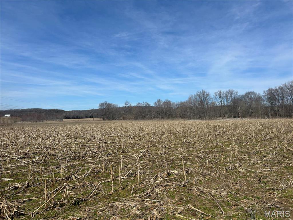 1139 Hwy J New Florence, MO 63363 - Photo 48 of 53