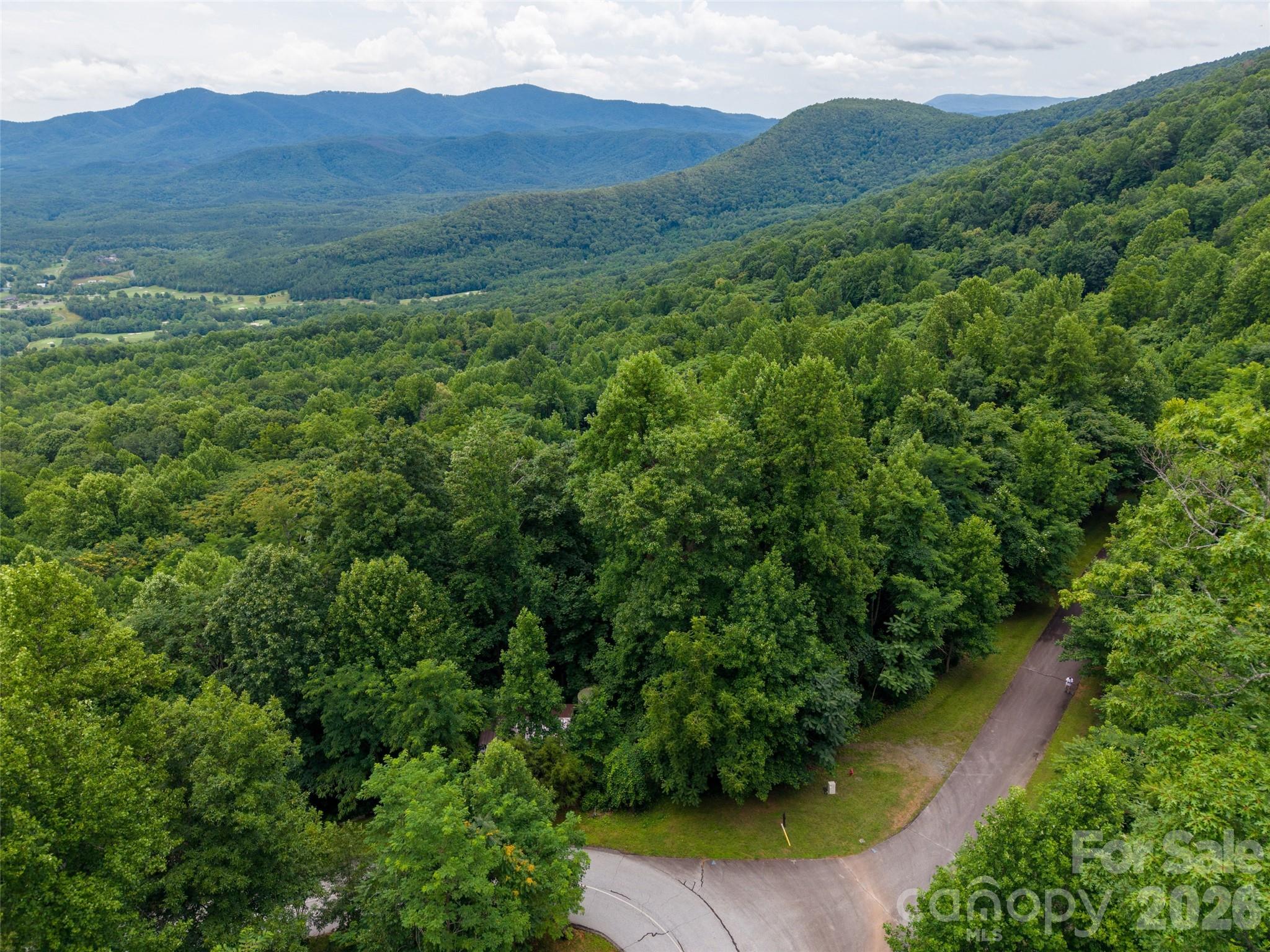 236 Nottingham Dr Mill Spring Mill Spring, NC 28756 - Photo 13 of 19