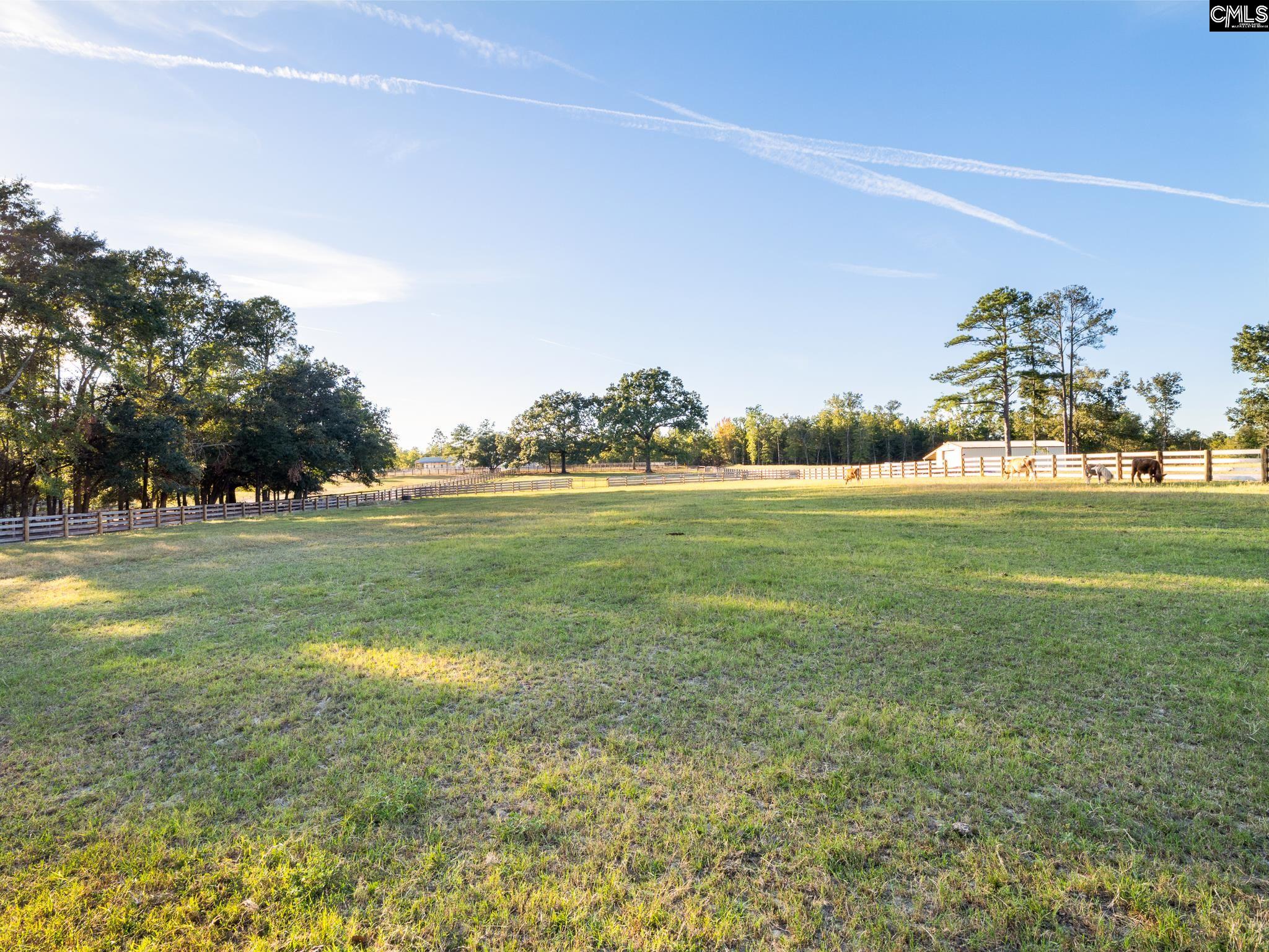 307 Henry Stabler Road Swansea, SC 29160 - Photo 37 of 49 Gallery Image 37