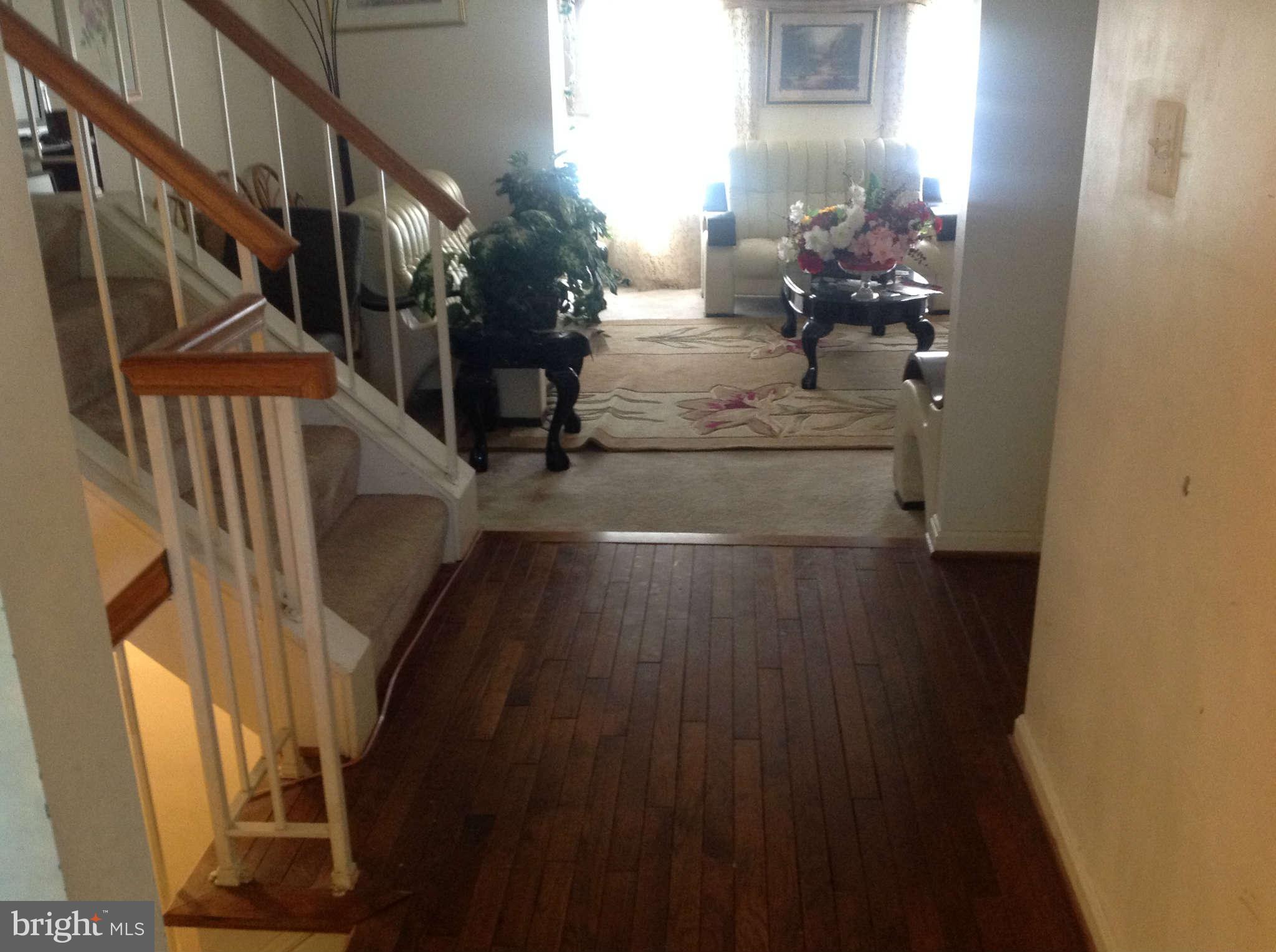 Interior (General)