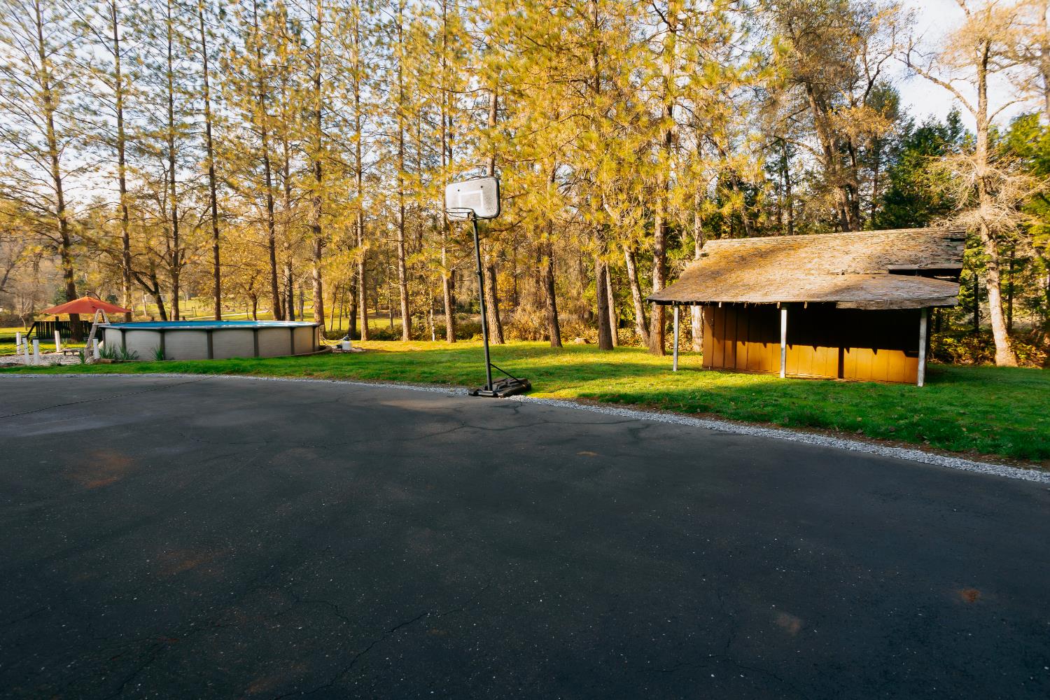 1325 Boole Road Applegate, CA 95703 - Photo 34 of 54 Magical detached building