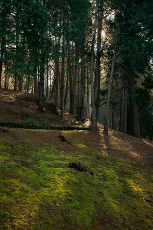 $1,095,000 | 1325 Boole Road, Applegate, CA 95703