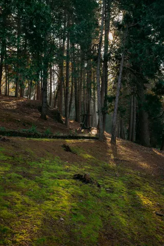 $1,095,000 | 1325 Boole Road, Applegate, CA 95703