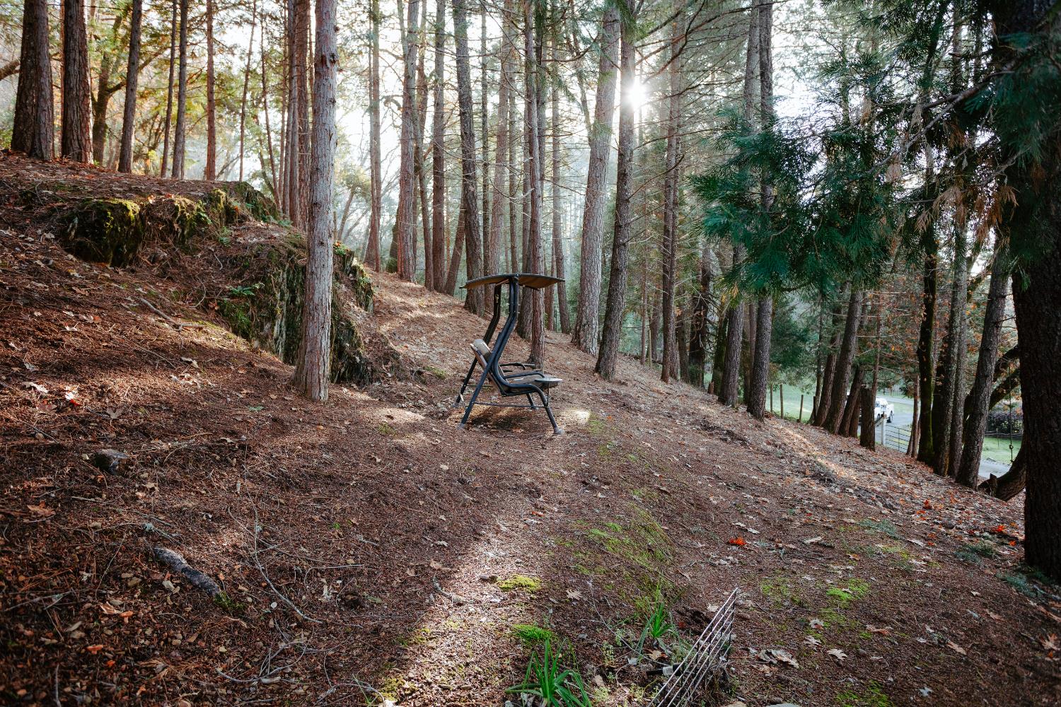 1325 Boole Road Applegate, CA 95703 - Photo 51 of 54 Reflection