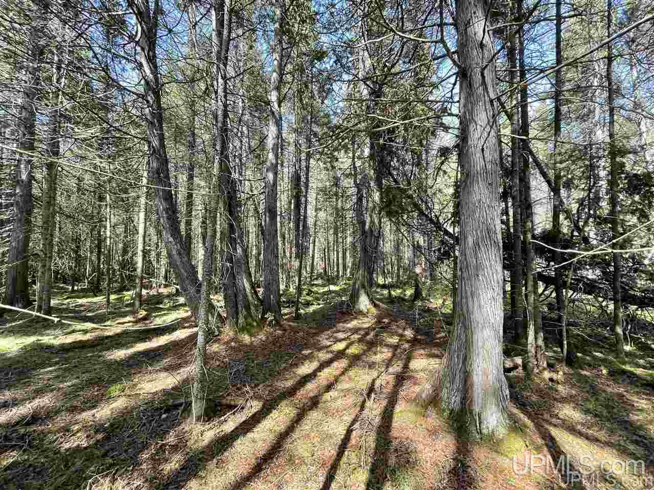 Tbd Camp 23 Road Germfask, MI 49840 - Photo 1 of 7