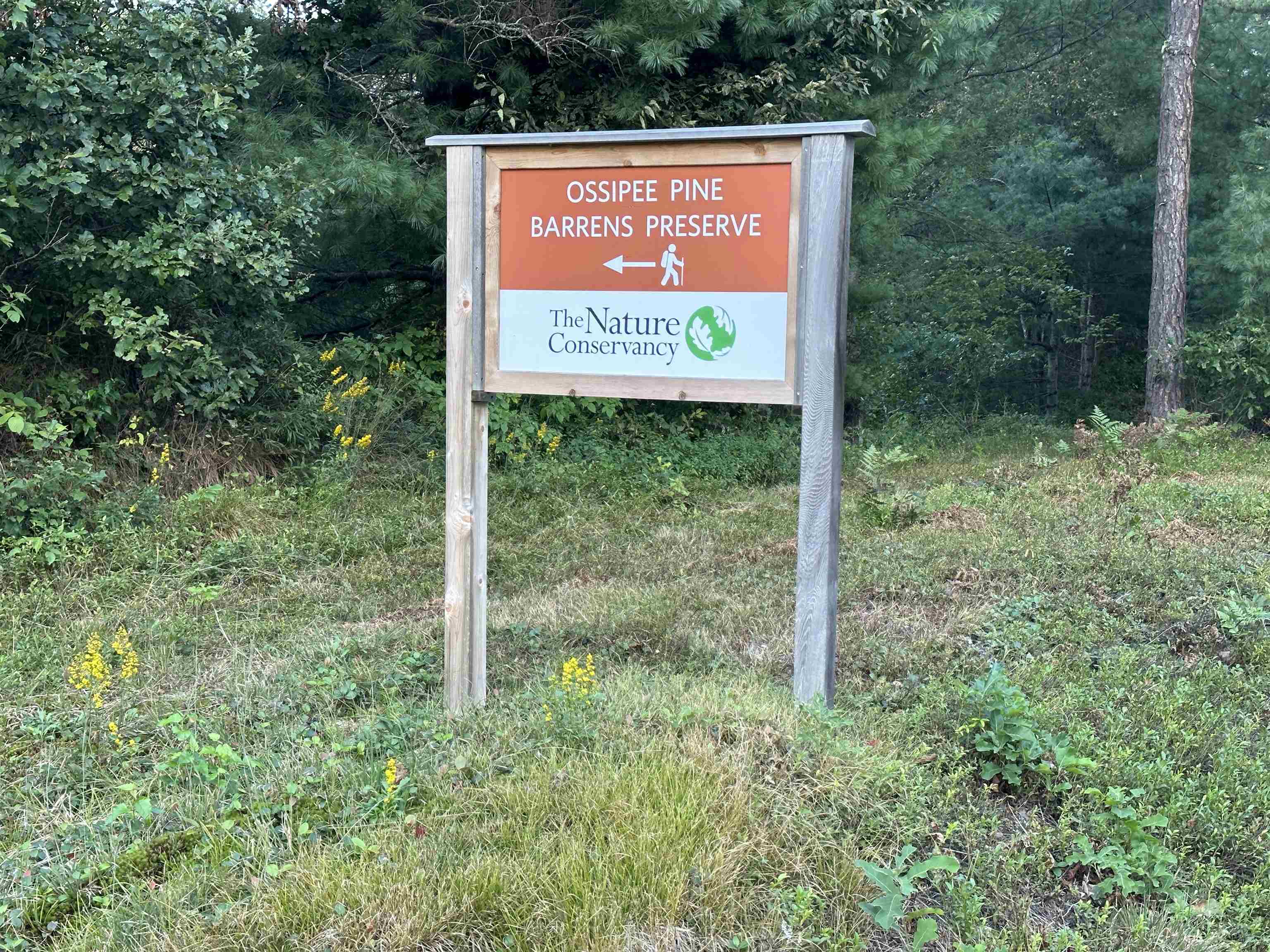 17 Logan Way, Unit LOT 7 Center Ossipee, NH 03814 - Photo 30 of 40