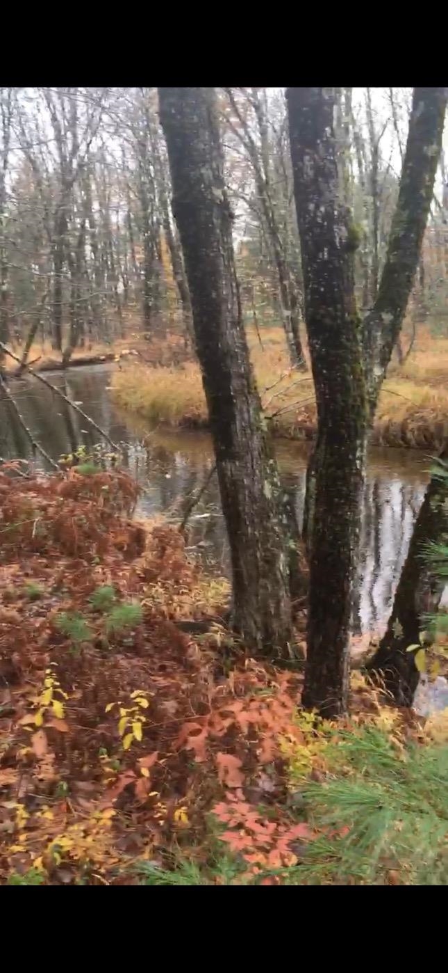 17 Logan Way, Unit LOT 7 Center Ossipee, NH 03814 - Photo 32 of 40
