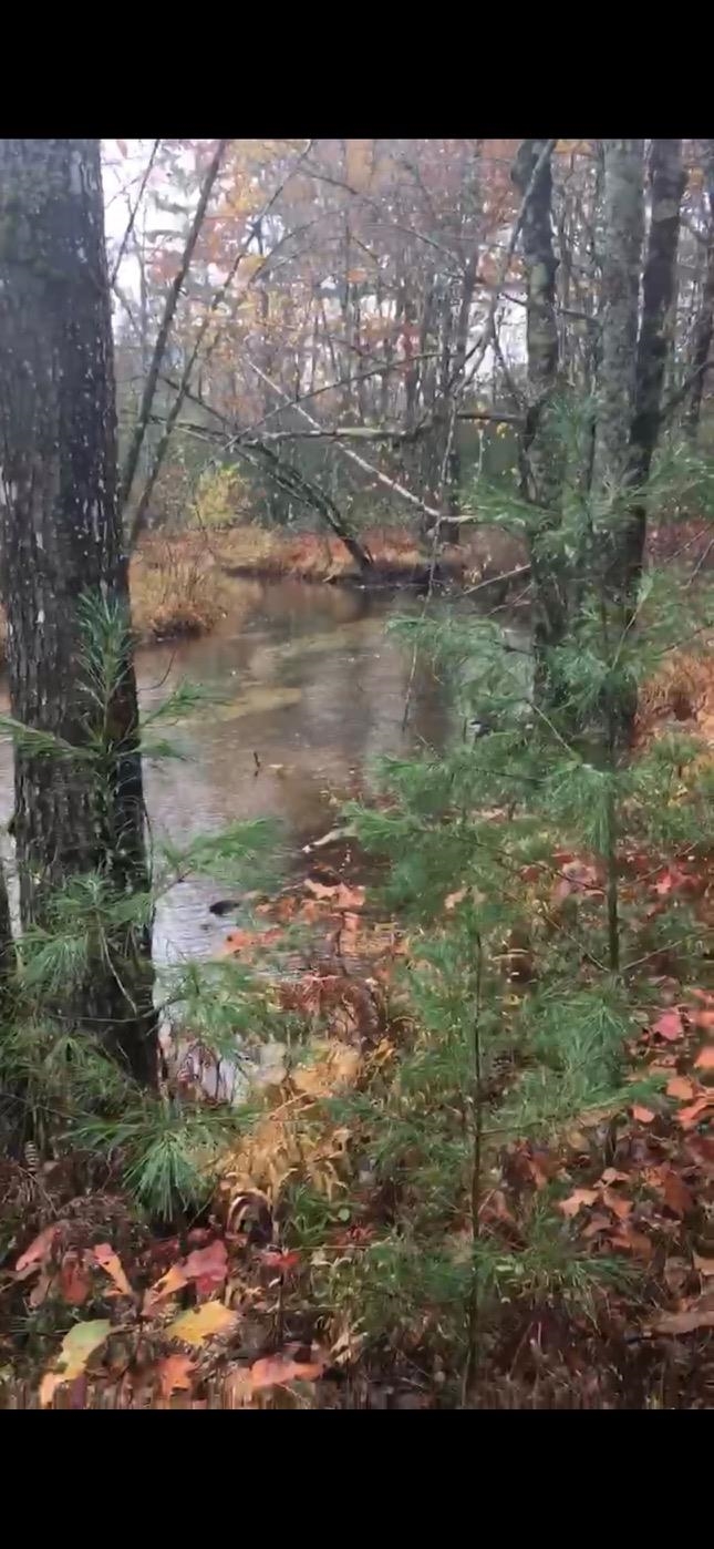 17 Logan Way, Unit LOT 7 Center Ossipee, NH 03814 - Photo 34 of 40