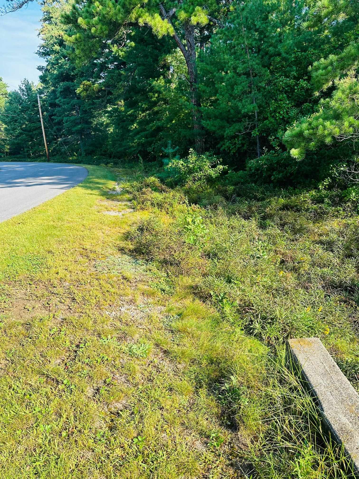 17 Logan Way, Unit LOT 7 Center Ossipee, NH 03814 - Photo 36 of 40