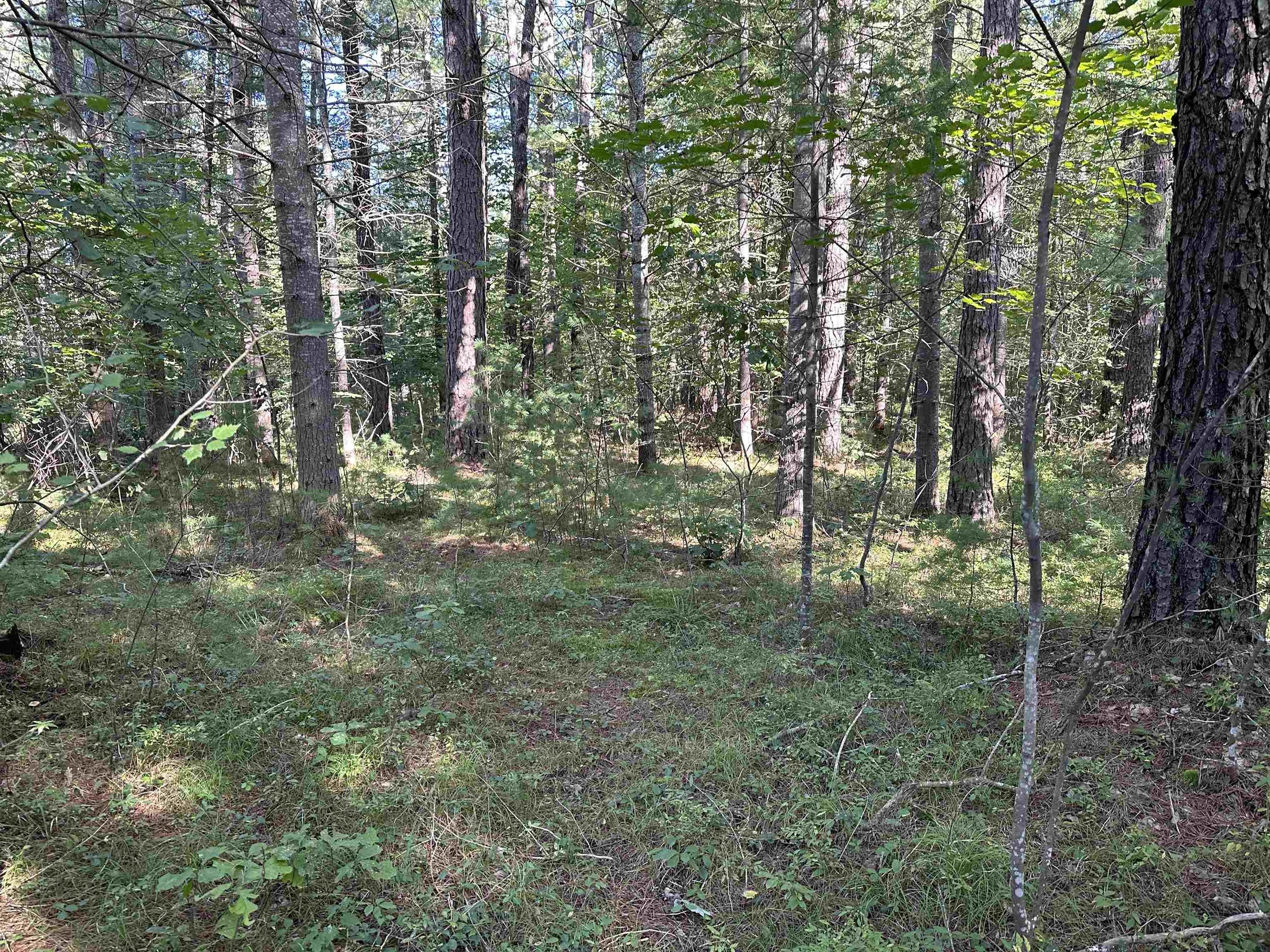 17 Logan Way, Unit LOT 7 Center Ossipee, NH 03814 - Photo 39 of 40