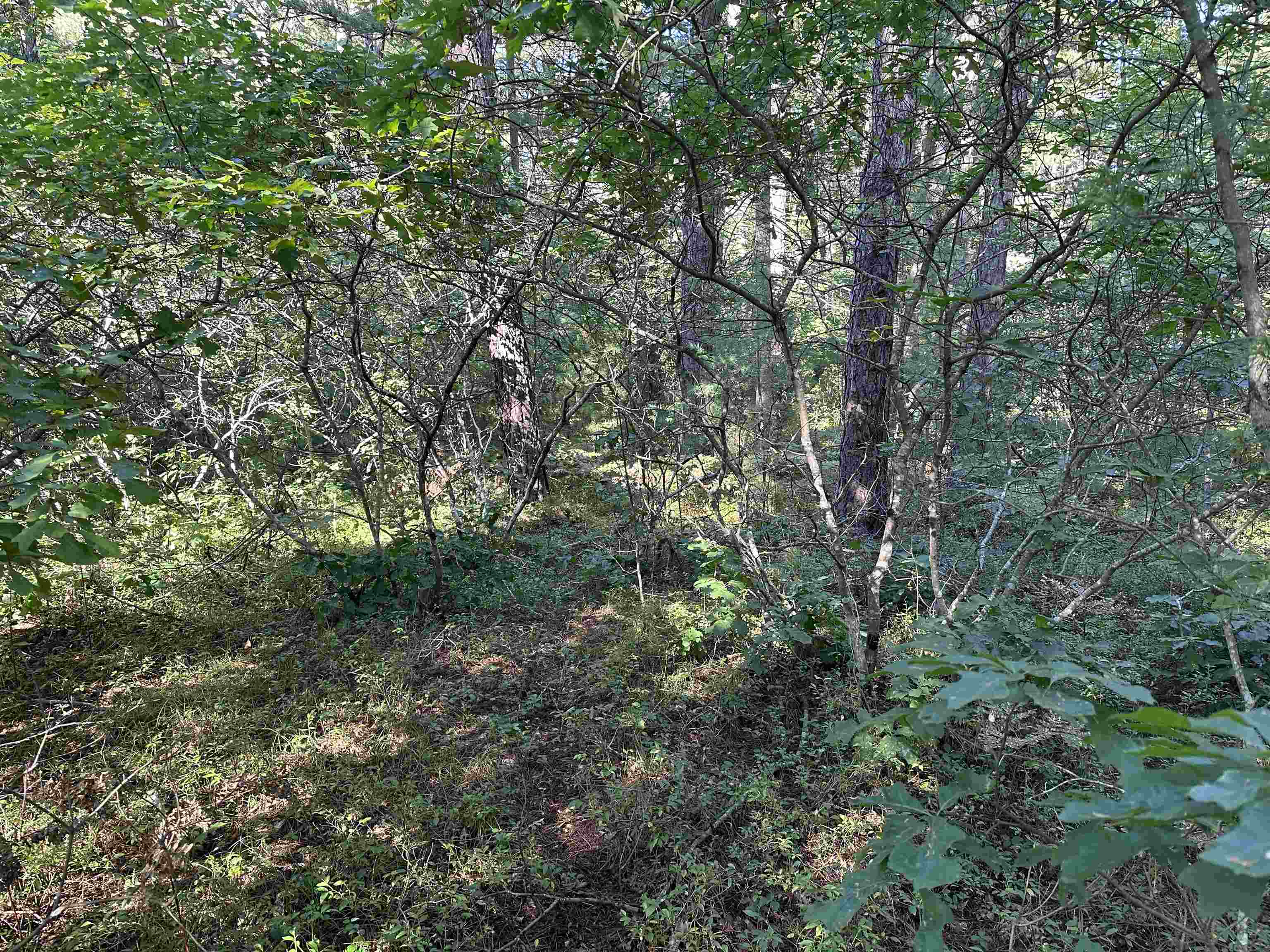 17 Logan Way, Unit LOT 7 Center Ossipee, NH 03814 - Photo 40 of 40