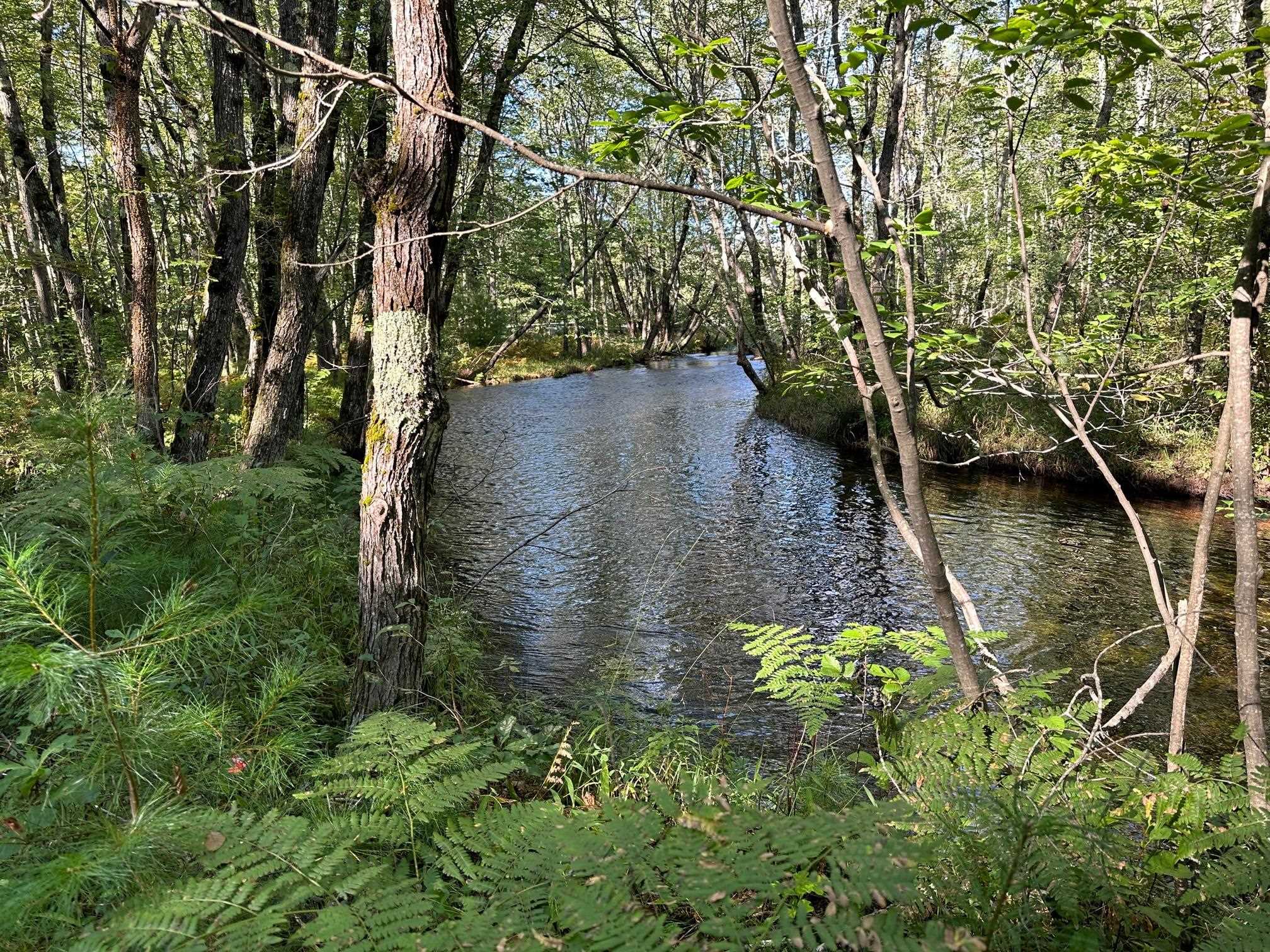 17 Logan Way, Unit LOT 7 Center Ossipee, NH 03814 - Photo 4 of 40