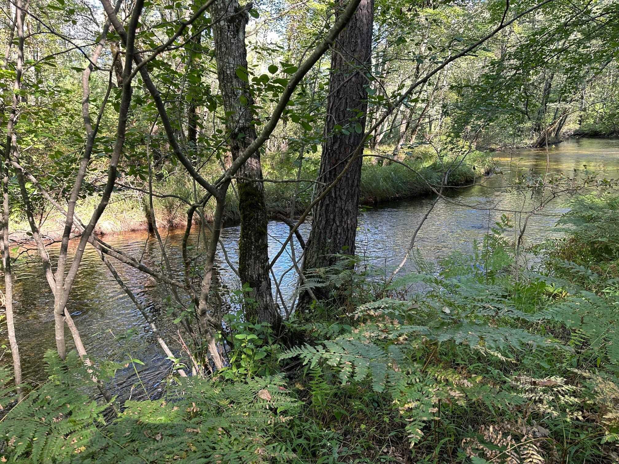 17 Logan Way, Unit LOT 7 Center Ossipee, NH 03814 - Photo 5 of 40