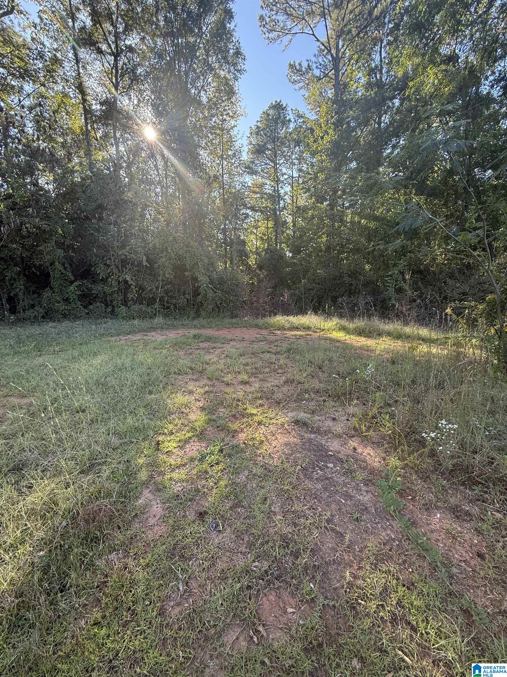 118 Slaughter Street Goodwater, AL 35072 - Photo 1 of 8
