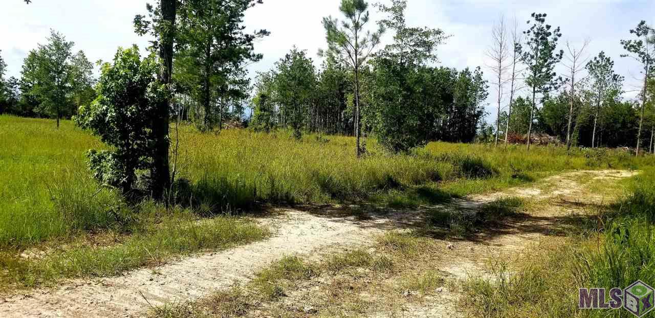 24140 Miller Road Livingston, LA 70754 - Photo 11 of 13 Gallery Image 11