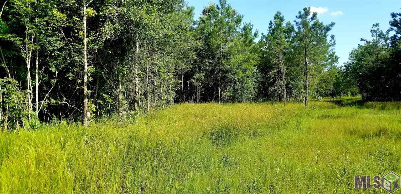 24140 Miller Road Livingston, LA 70754 - Photo 12 of 13 edge of lot MS-2