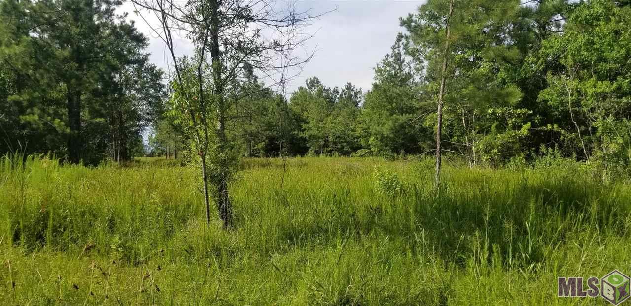 24140 Miller Road Livingston, LA 70754 - Photo 2 of 13 Gallery Image 2