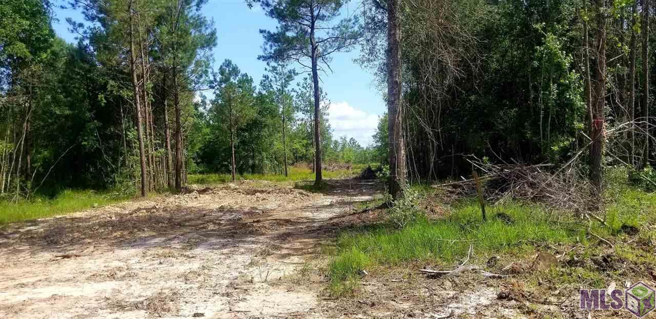 24140 Miller Road Livingston, LA 70754 - Photo 4 of 13 Gallery Image 4