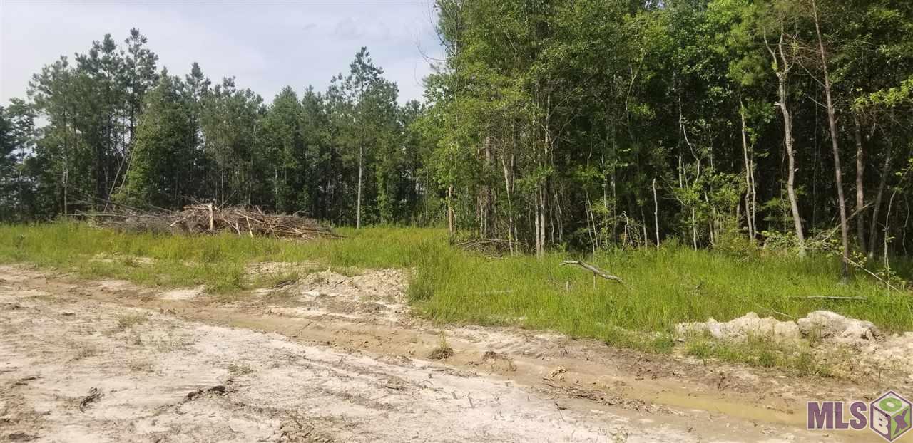24140 Miller Road Livingston, LA 70754 - Photo 6 of 13 Gallery Image 6