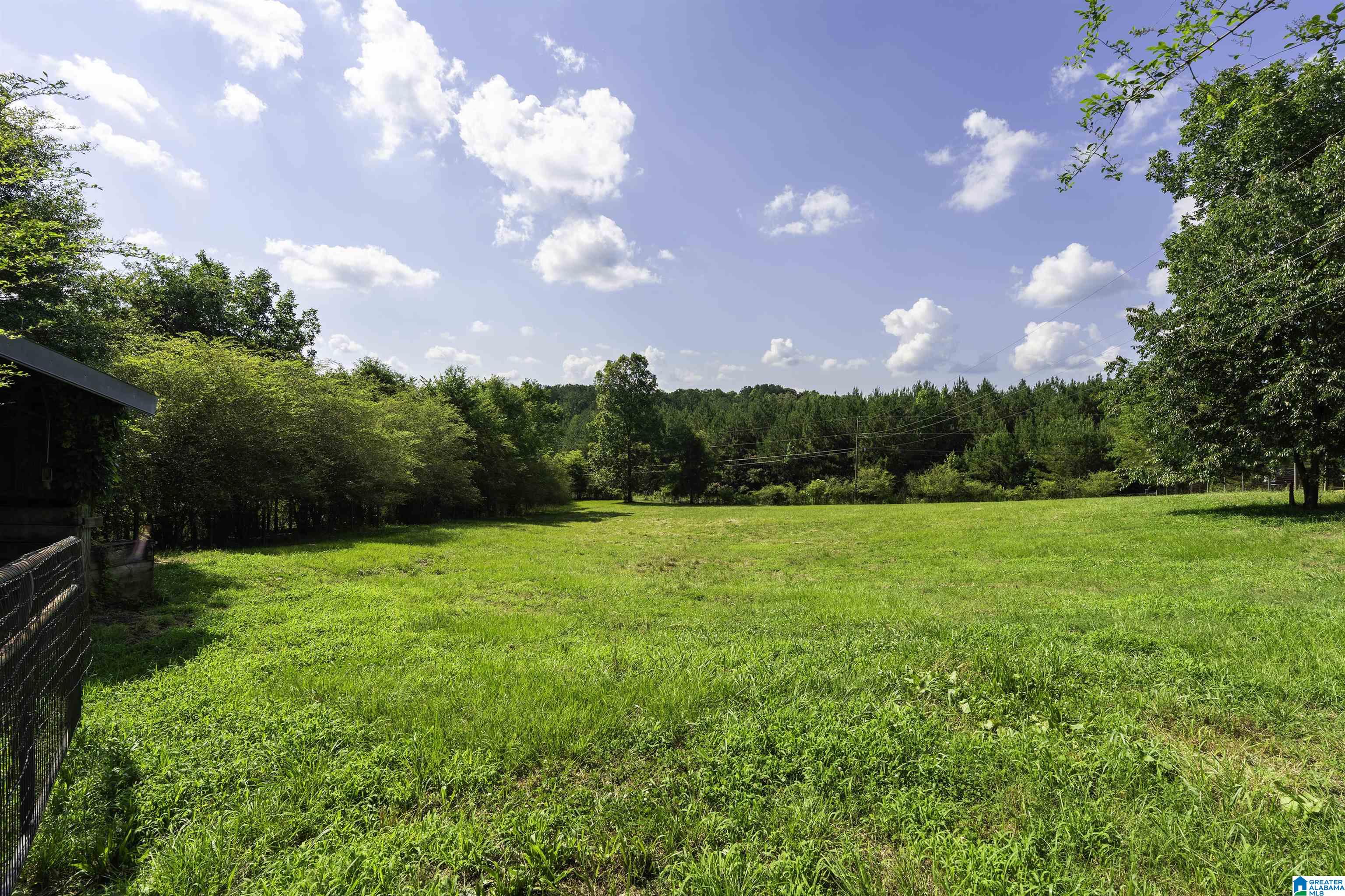 2500 Sprayberry Road Pell City, AL 35125 - Photo 68 of 76