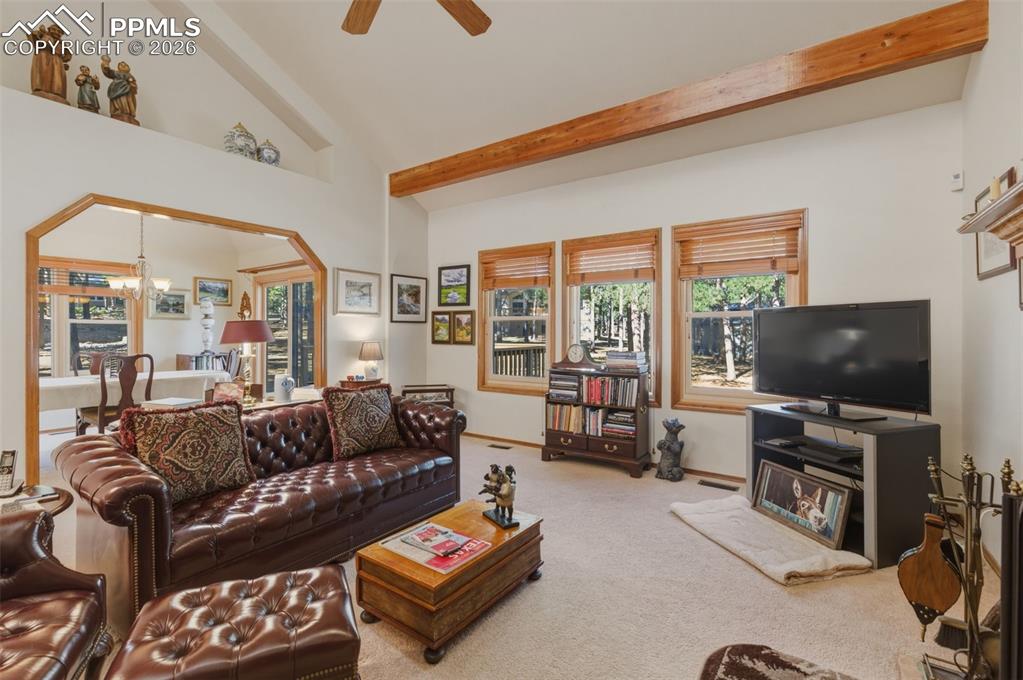460 St Moritz Way Monument, CO 80132 - Photo 11 of 43