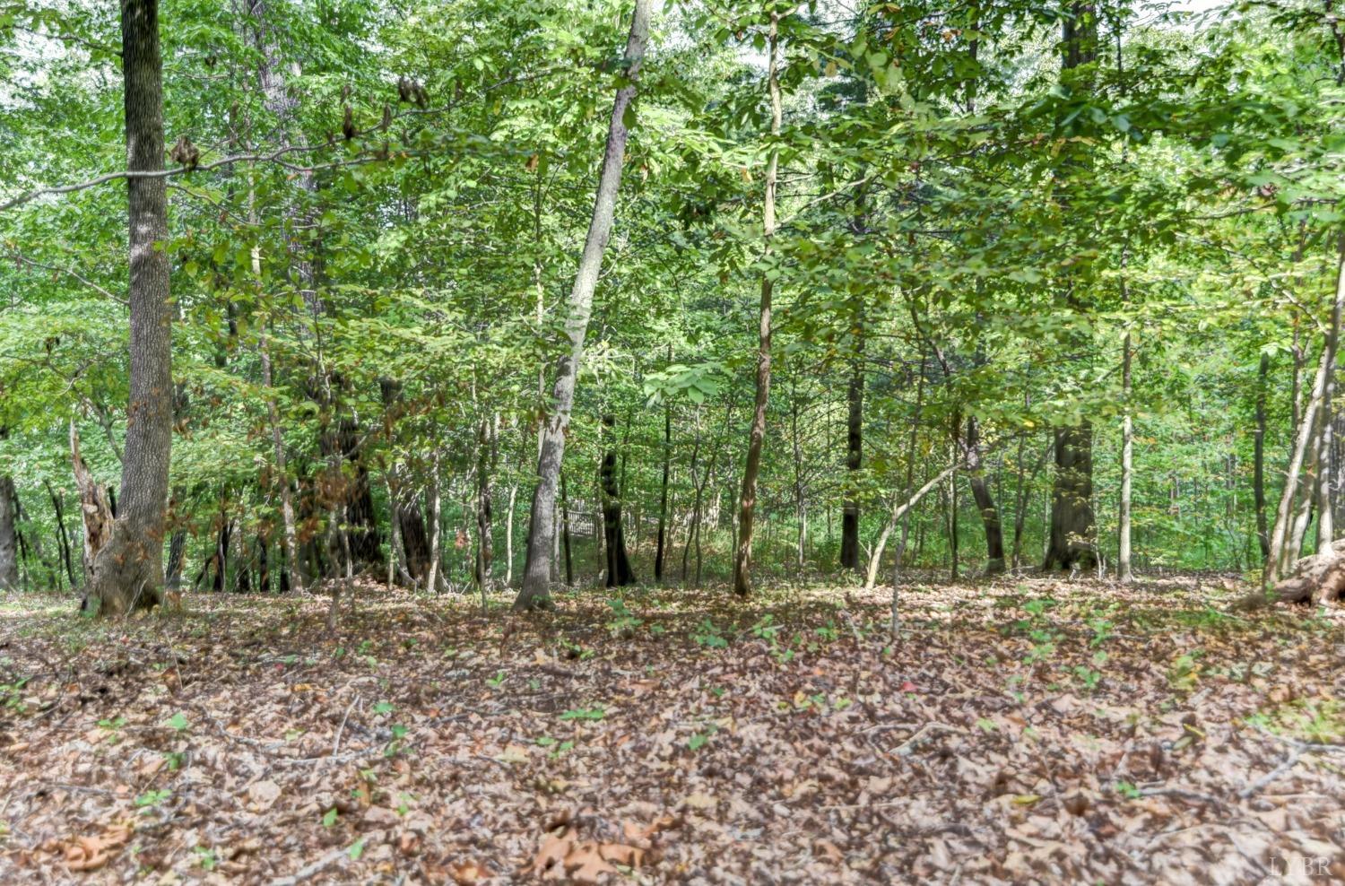 540 Burgess Road Madison Heights, VA 24572 - Photo 38 of 50 Gallery Image 38