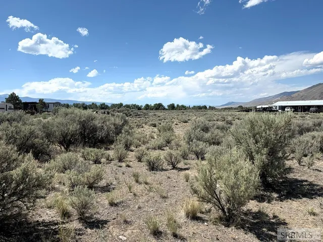 $22,500 | Tbd Gilmore Avenue, Leadore, ID 83464