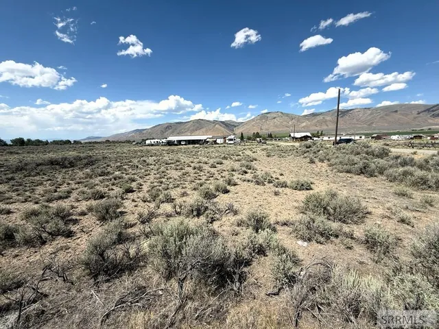 $22,500 | Tbd Gilmore Avenue, Leadore, ID 83464