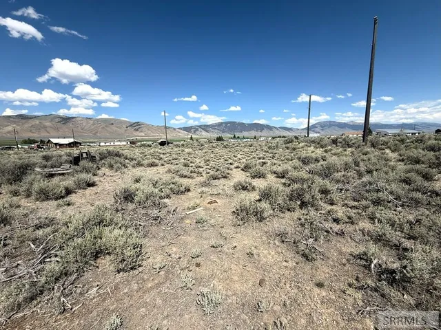 $22,500 | Tbd Gilmore Avenue, Leadore, ID 83464