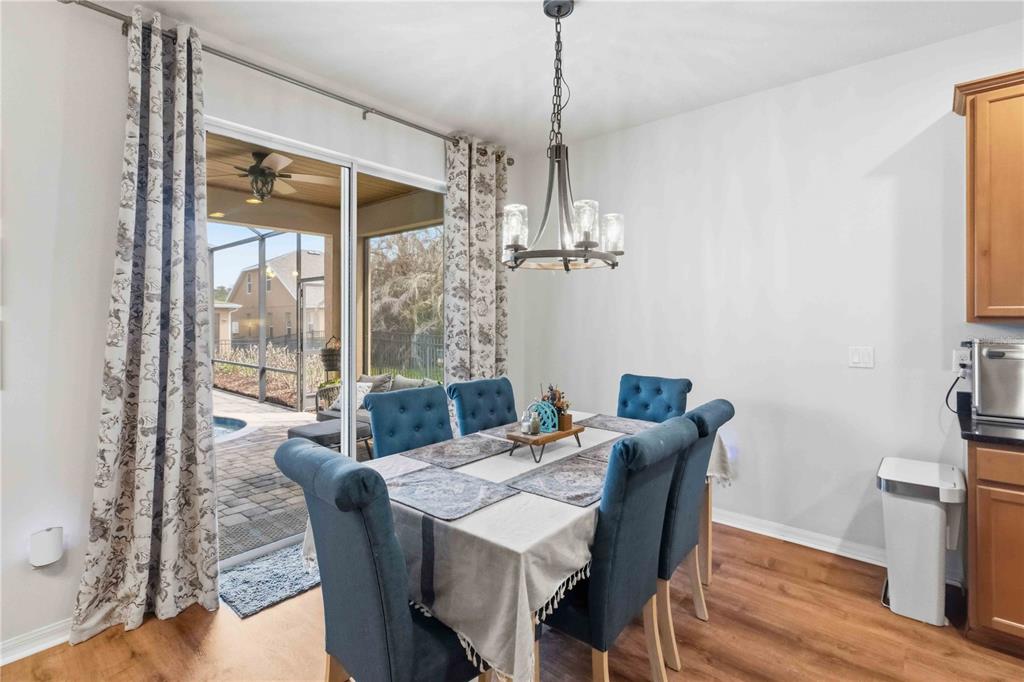 5113 Sanderling Ridge Drive Lithia, FL 33547 - Photo 15 of 64