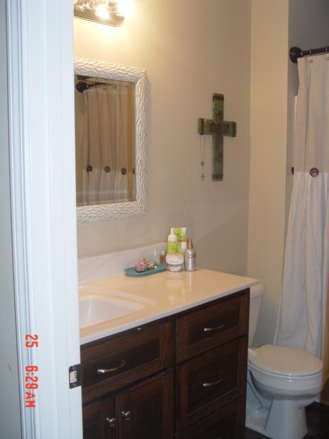 1360 McCool Road Lewisburg, TN 37091 - Photo 20 of 27 a bathroom with a sink a toilet and a mirror