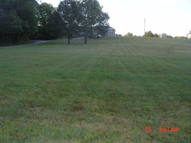 1360 McCool Road Lewisburg, TN 37091 - Photo 23 of 27 a view of a field with grass