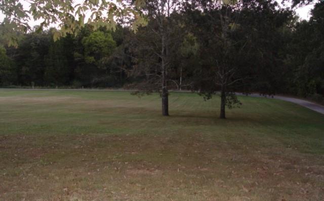 1360 McCool Road Lewisburg, TN 37091 - Photo 24 of 27 a view of outdoor space with trees