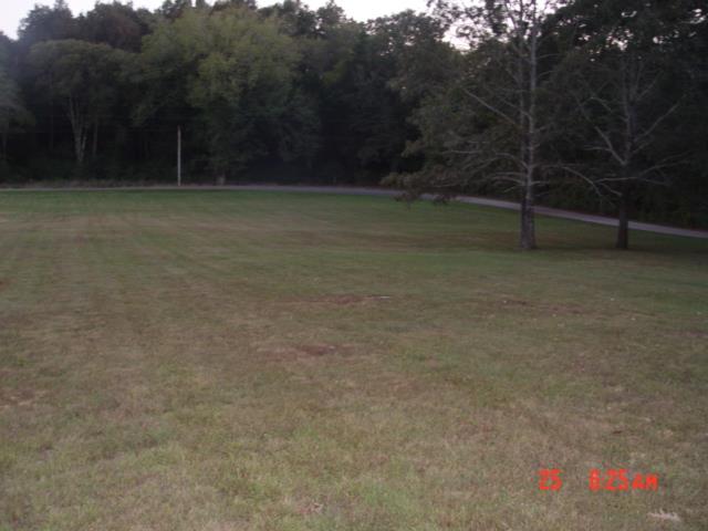 1360 McCool Road Lewisburg, TN 37091 - Photo 25 of 27 a view of a backyard