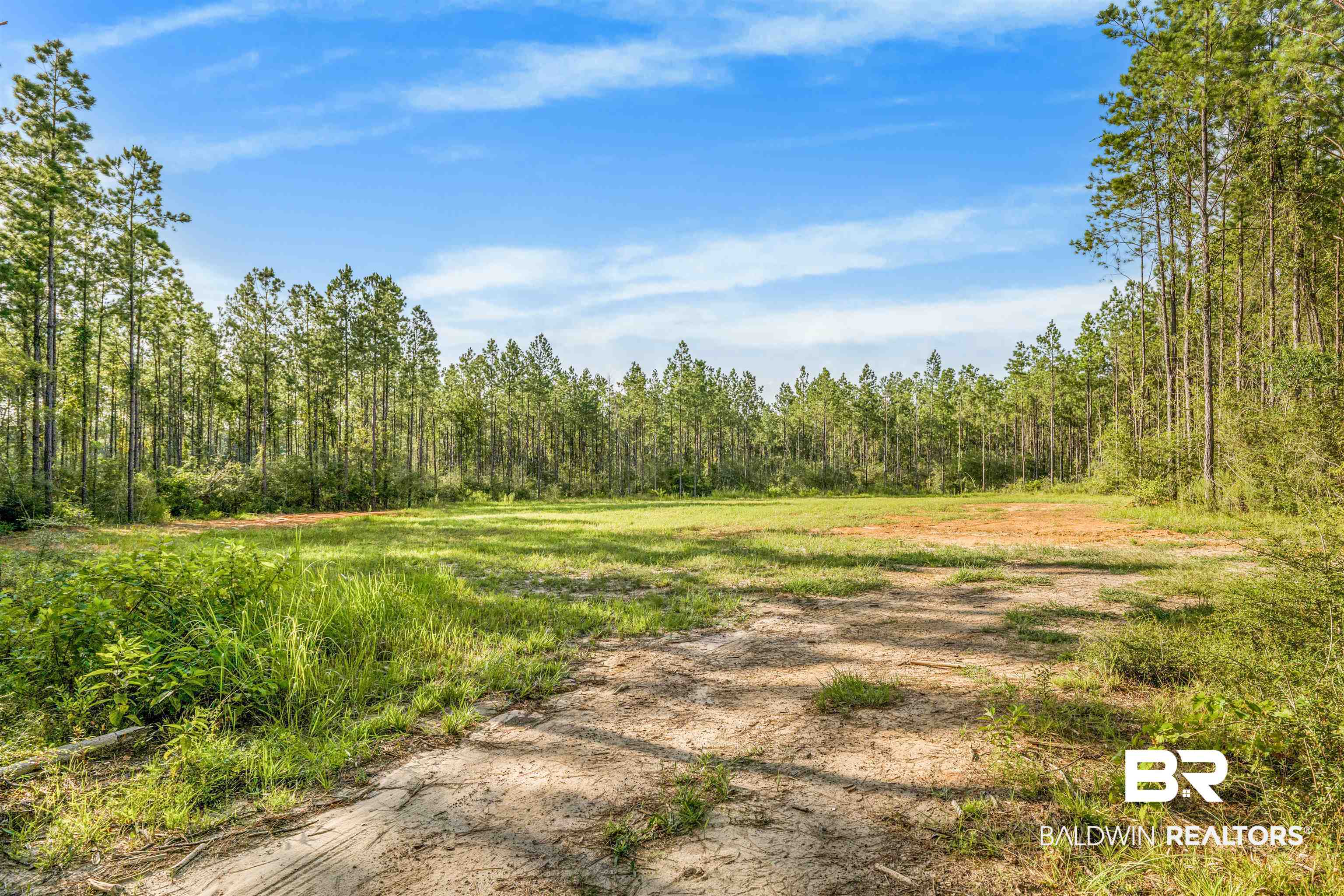 27861 New Hope Church Road Robertsdale, AL 36567 - Photo 7 of 29 View of nature