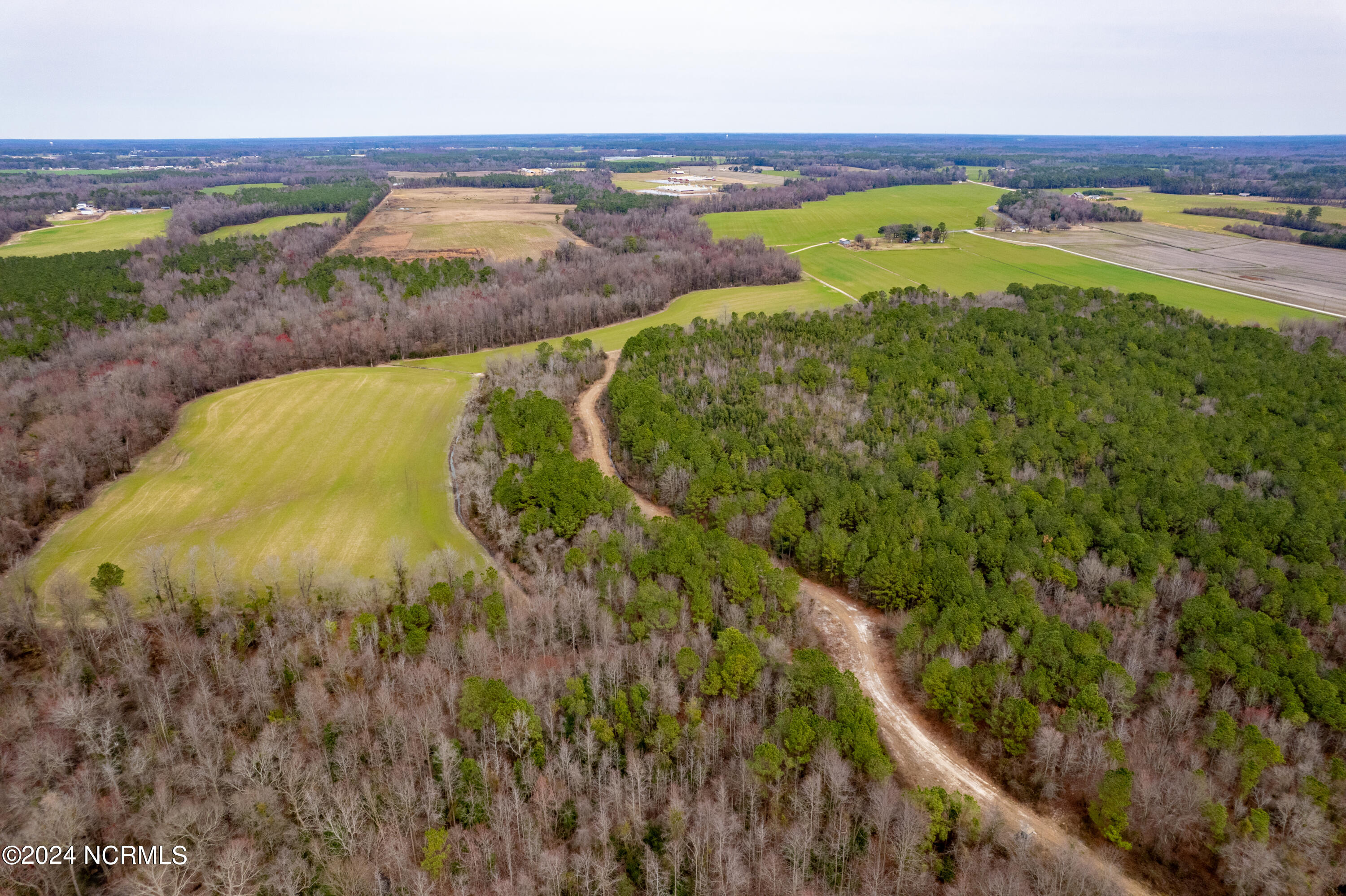 0 Kator Dunn Road Albertson, NC 28508 - Photo 4 of 7 DJI_0163