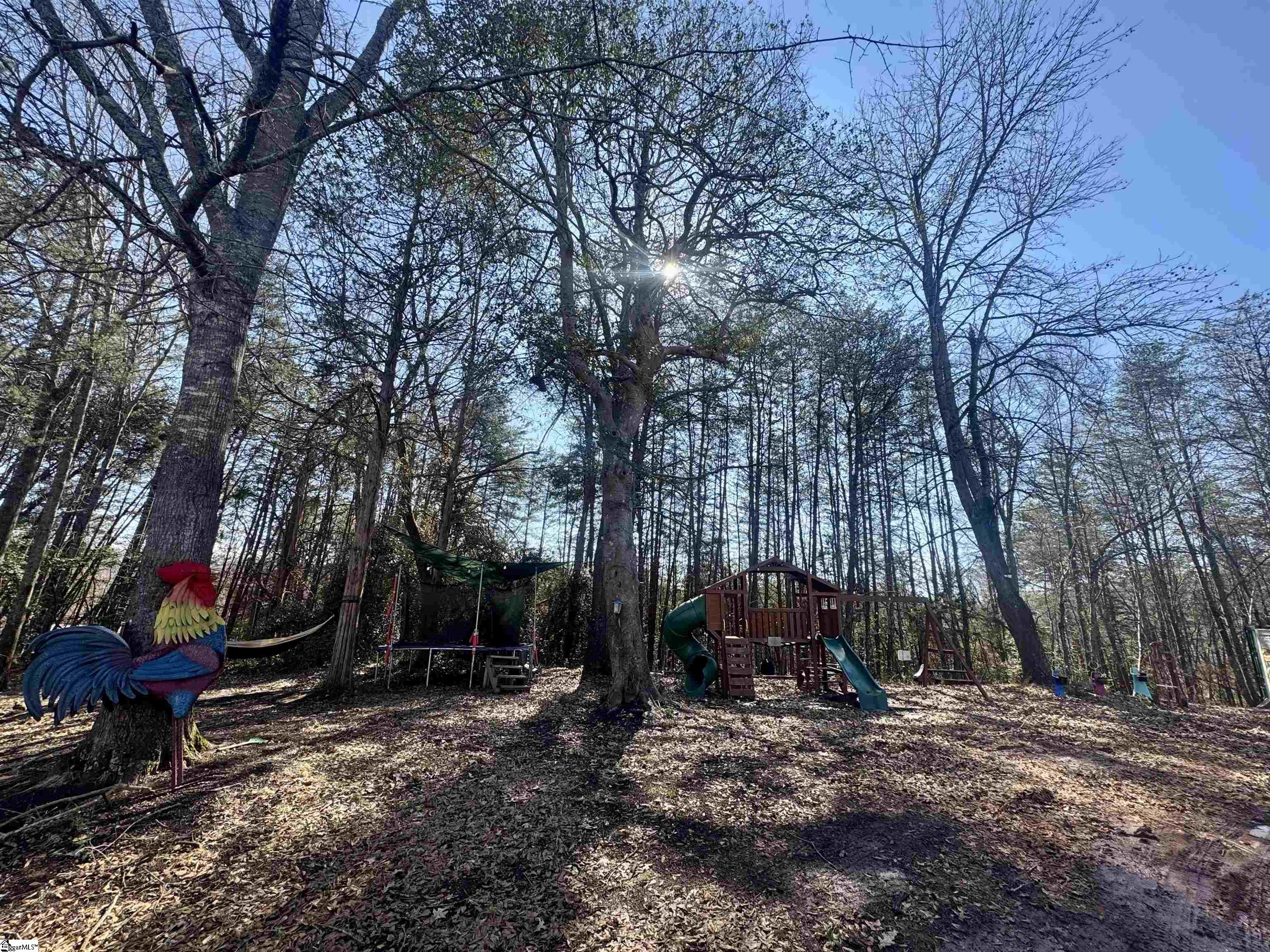 196 Old Boswell Road Travelers Rest, SC 29690 - Photo 8 of 13 Gallery Image 8