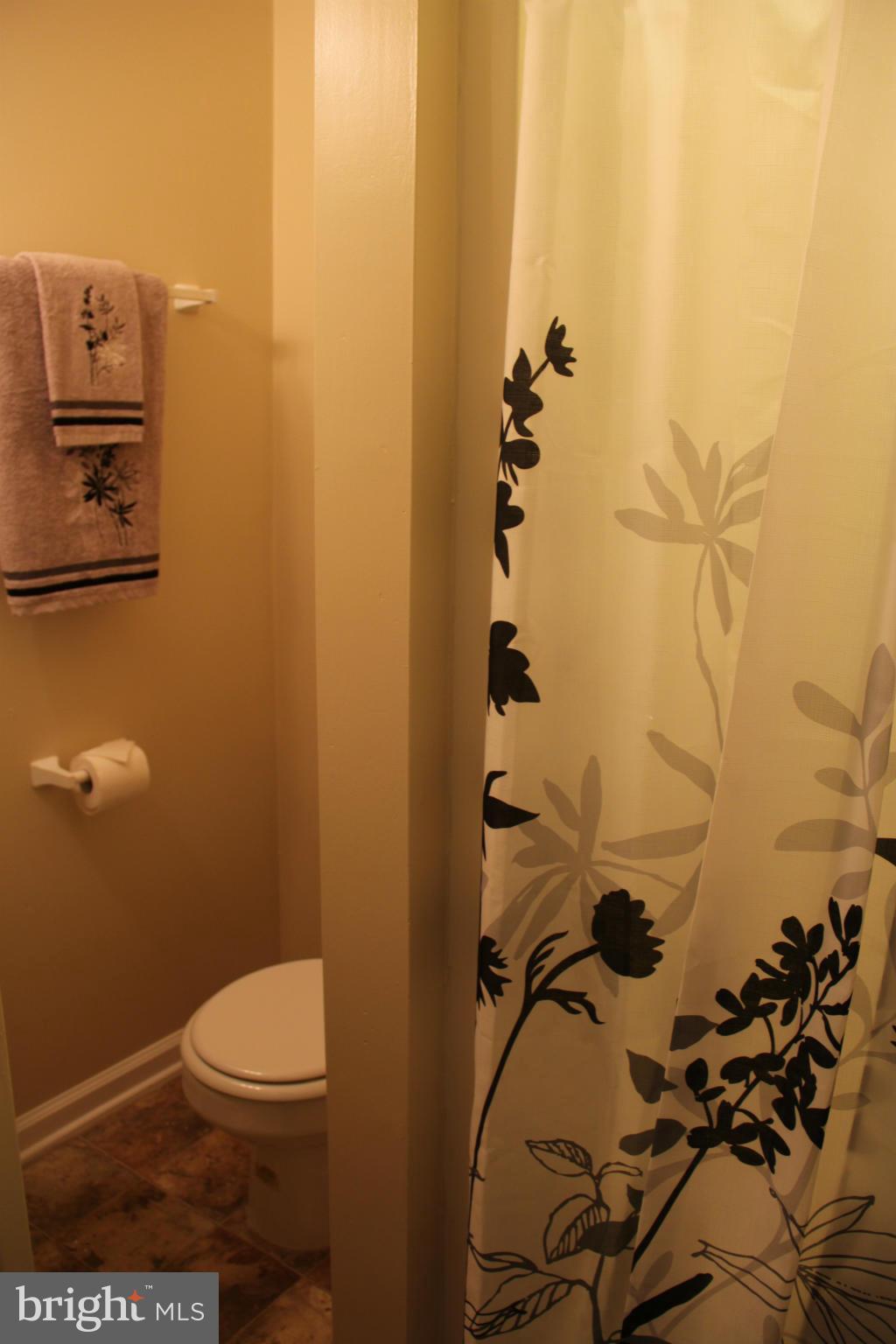 2530 Vineyard Lane Crofton, MD 21114 - Photo 22 of 26 Lower level bathroom
