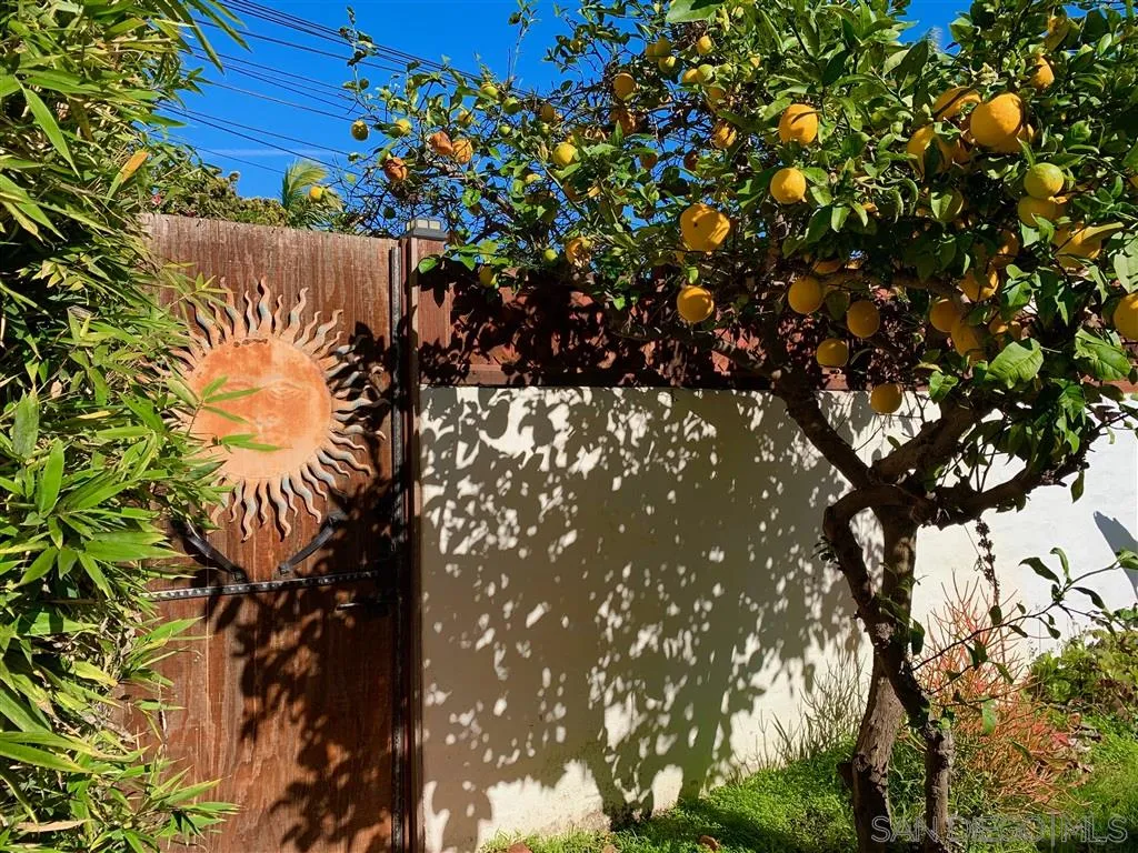 428 G Avenue Coronado, CA 92118 - Photo 14 of 18 a view of a tree